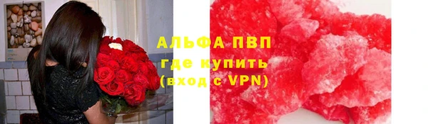 индика Волоколамск