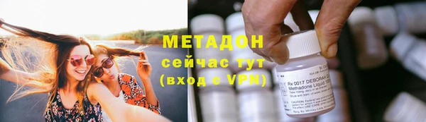 индика Волоколамск