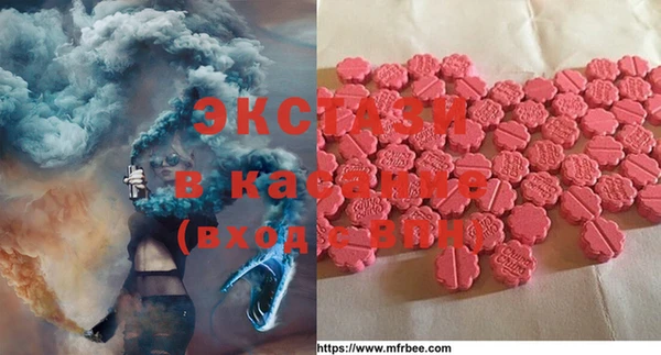 индика Волоколамск
