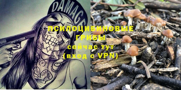 ГАЛЛЮЦИНОГЕННЫЕ ГРИБЫ Верхний Тагил